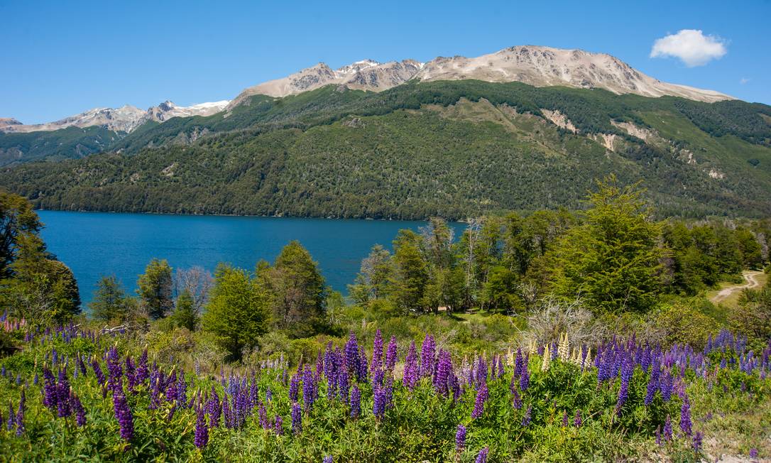 Primavera nos Andes: a estação das flores é particularmente bonita no Caminho dos Sete Lagos, na Argentina, mas roteiro oferece belas paisagens o ano todo Foto: Efraín Dávila / Inprotur/Divulgação