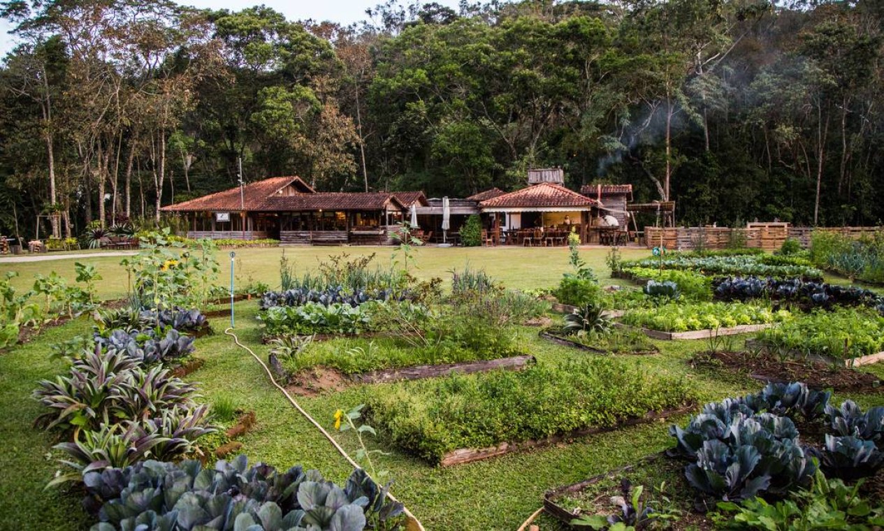 O restaurante Trilhas do Araçari, em Mury, mantém uma horta onde cultiva parte dos vegetais usados no cardápio Foto: Bárbara Lopes / Agência O Globo