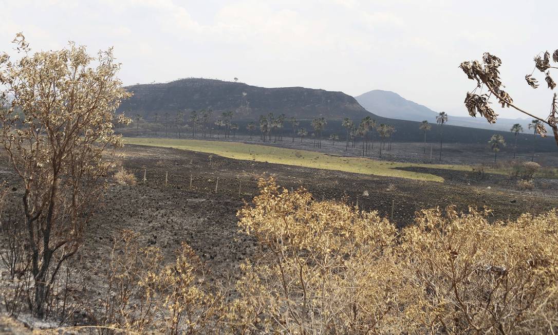 Chapada dos Veadeiros tem 10º dia de incêndios