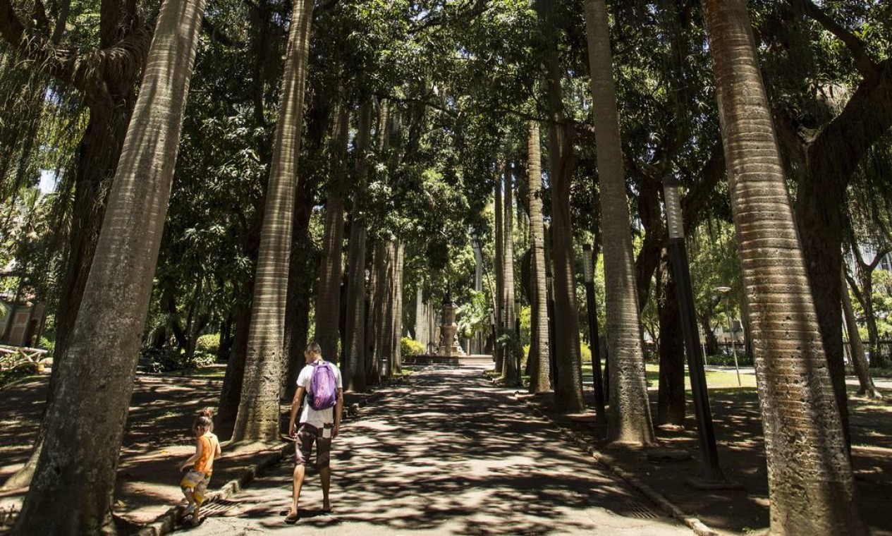 A alameda de palmeiras está no jardim desde o século XIX Foto: Ana Branco / Agência O Globo