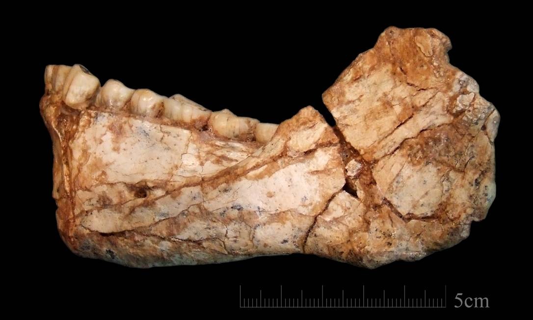Uma mandíbula fossilizada foi encontrada no sítio de Jebel Irhoud, Marrocos, que foi identificada como um dos mais antigos vestígios do Homo sapiens. Foto: Jean-Jacques Hoplin