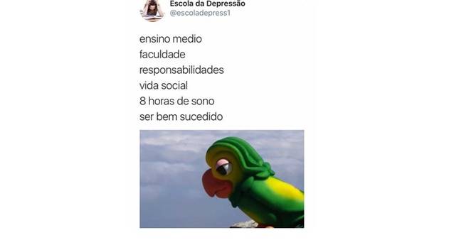 OMFG Memes no Instagram: “Dá até saudade da escola lembrando das