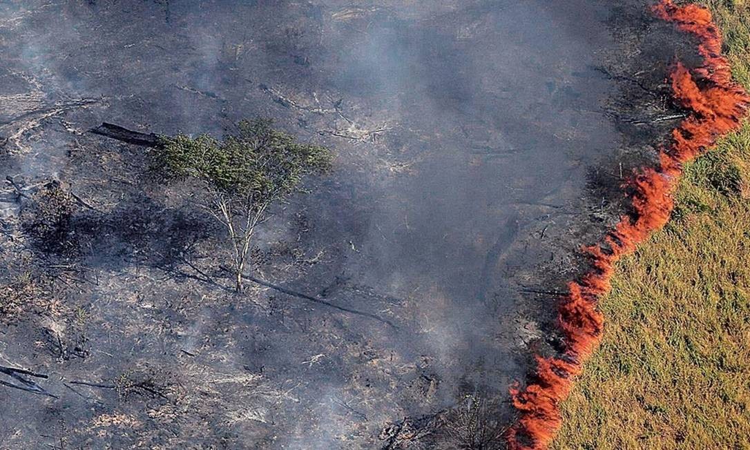 Novo satélite mostra que desmatamento na Amazônia é maior do que o