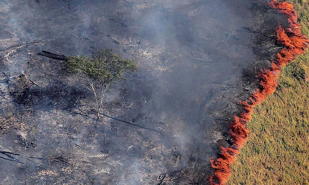 Novo satélite mostra que desmatamento na Amazônia é maior do que o imaginado Jornal O Globo