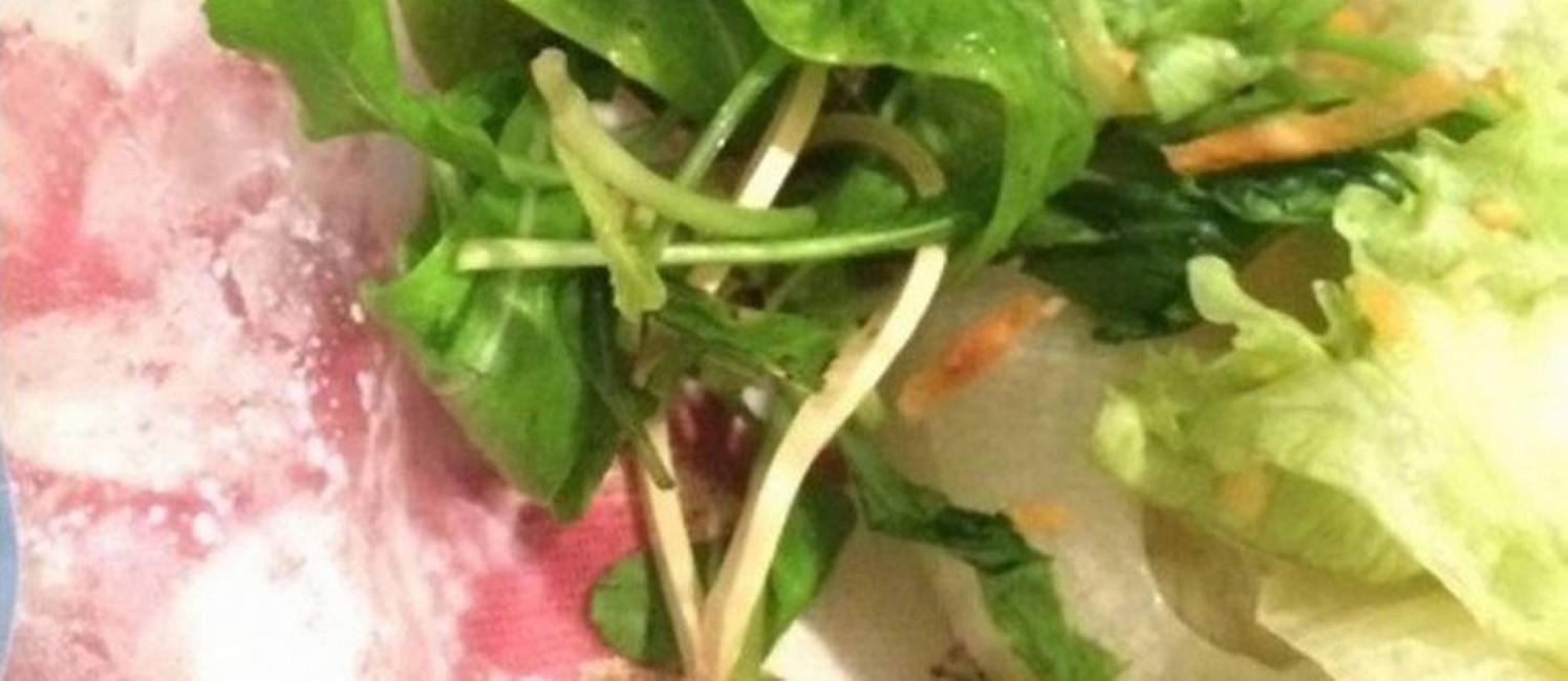 Em meio à rúcula, agrião e alface, casal encontrou elásticos na salada Foto: Foto do leitor