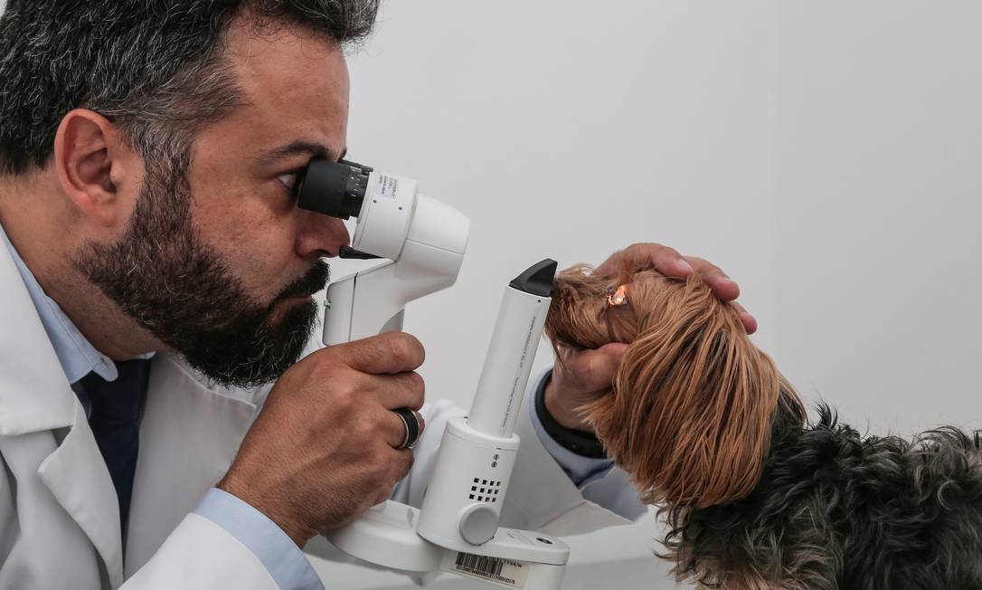 O veterinário Marco Antônio Murari é especialista em oftalmologia
Foto: eduardouzal / Eduardo Uzal