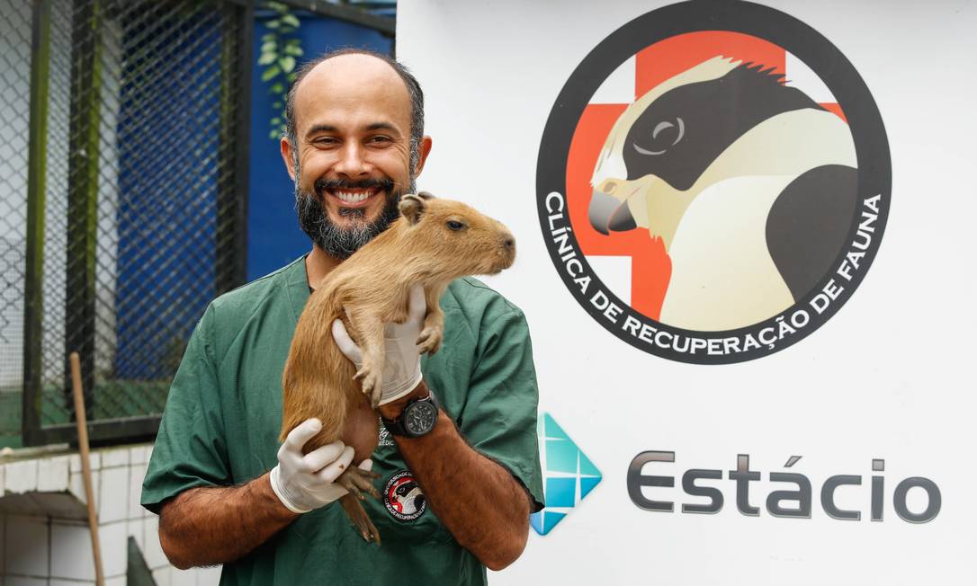 
Jeferson com um filhote de capivara em frente à clínica que ajudou a criar logo que se formou
Foto: Brenno Carvalho /
Brenno Carvalho
