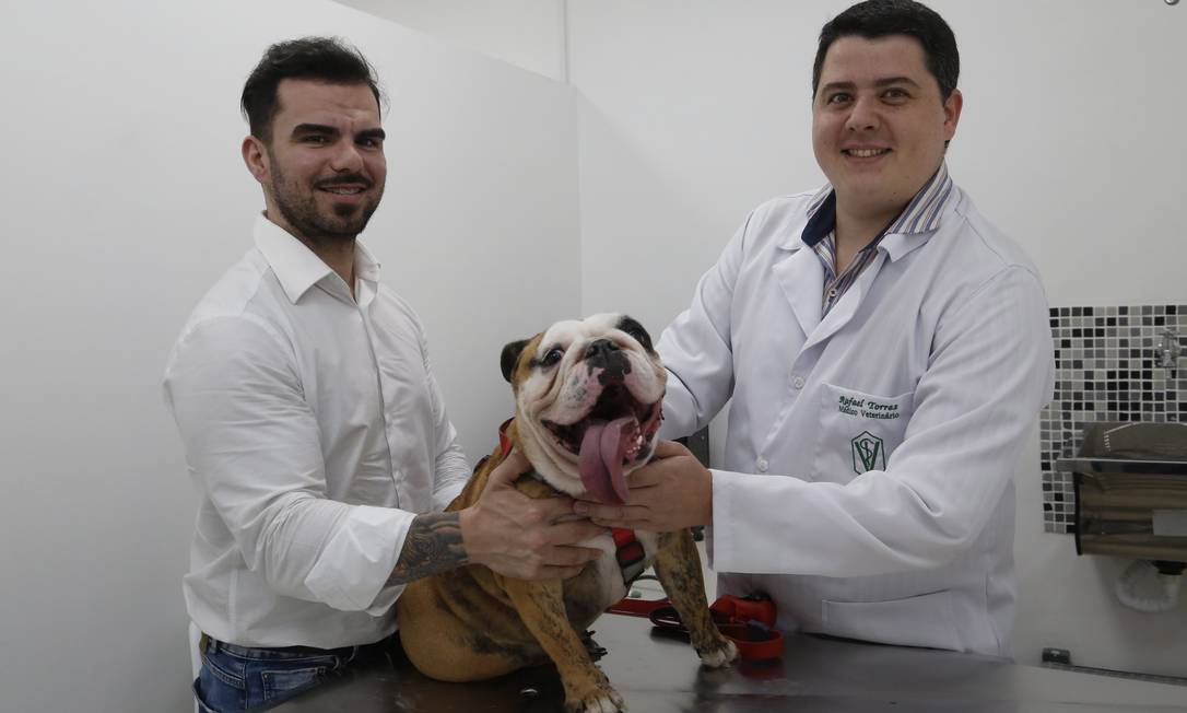 
O CEO Brunno Galvão, sua cadela, Holic, e o supervisor Rafael Torres: democratização do atendimento
Foto: Fábio Guimarães /
Agência O Globo
