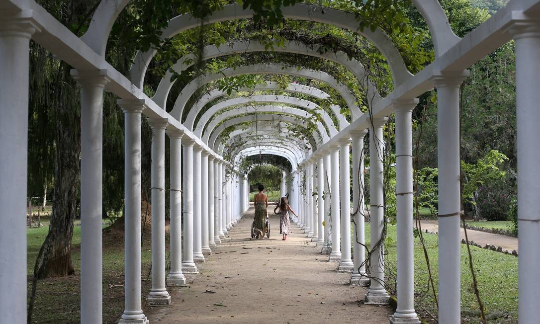 Jardim Botânico completa 210 anos - Jornal O Globo