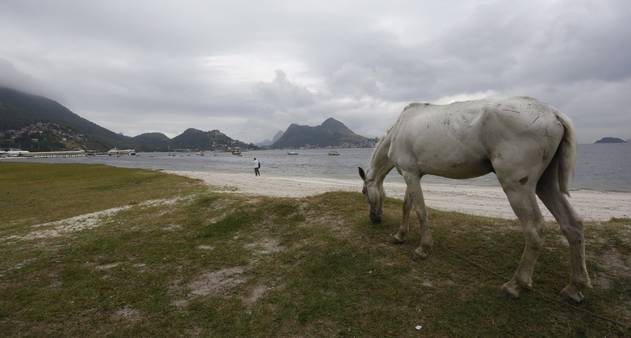 Raio mata peão e dois cavalos durante passeio - CompreRural