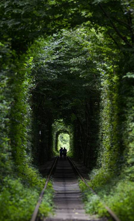 O túnel é na verdade um trecho de cinco quilômetros de extensão de uma ferrovia privada que corta um bosque. Um fenômeno botânico fez com que a vegetação crescesse no formato do trem, que passa três vezes ao dia Foto: SERGEI SUPINSKY / AFP