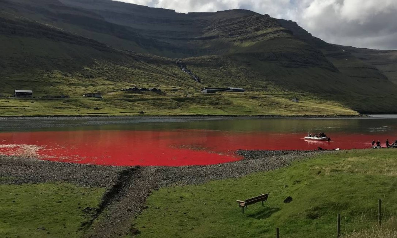 Água repleta de sangue após tradição da população local de matar baleias Foto: Divulgação/Sea Shepherd / .