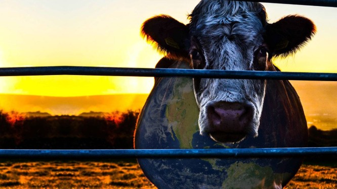 Cowspiracy coloca a indústria da carne na berlinda, como o maior vilão na preservação do planeta Foto: Divulgação