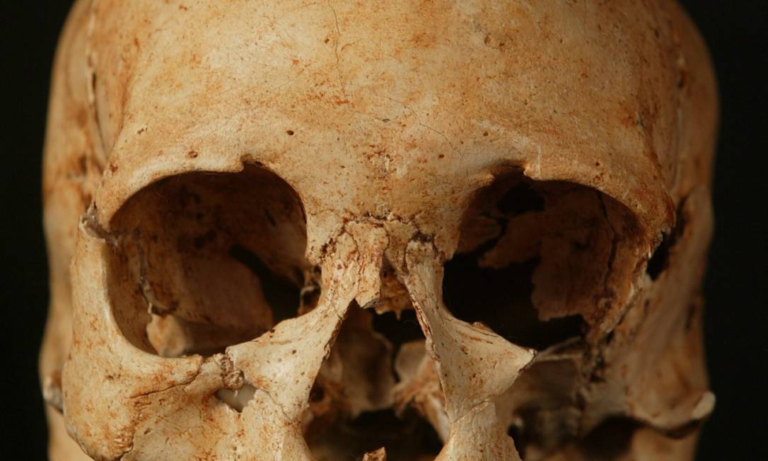 O crânio de Luzia, que estava no Museu Nacional: fragmentos encontrados serão submetidos a exame Foto: Marizilda Cruppe / Agência O Globo - 03/07/2003