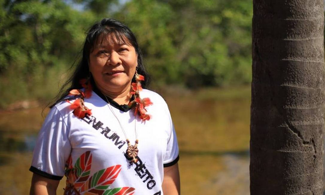 Joenia Wapichana é a primeira indígena eleita no Brasil Foto: Divulgação