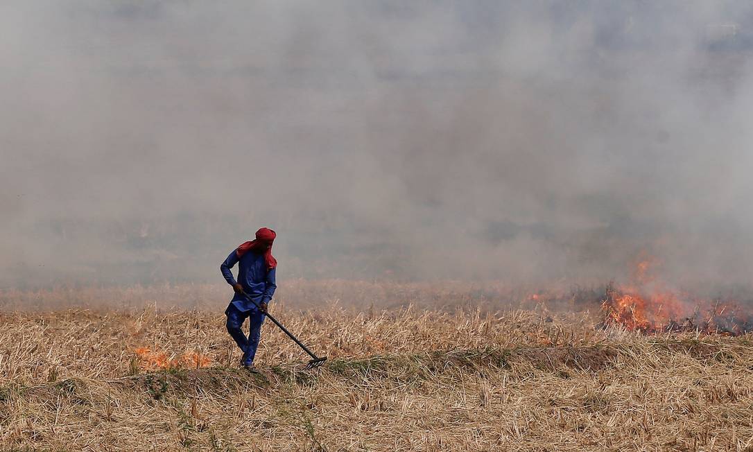 Fazendeiro queima arroz em Zirakpur, no norte de Punjab, na Índia Foto: Adnan Abidi / REUTERS/10-10-2018