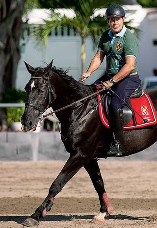 O vice presidente eleito Hamilton Mour o montou no cavalo certo