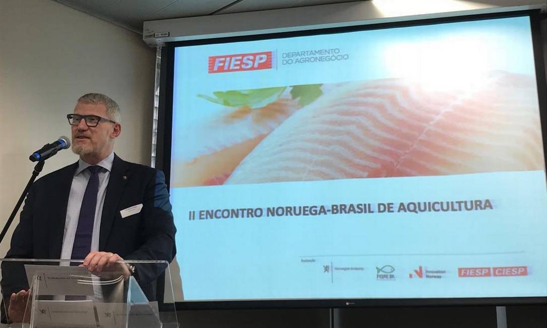 O embaixador da Noruega no Brasil, Nils Martin Gunneng, durante palestra em São Paulo Foto: Reprodução/Twitter