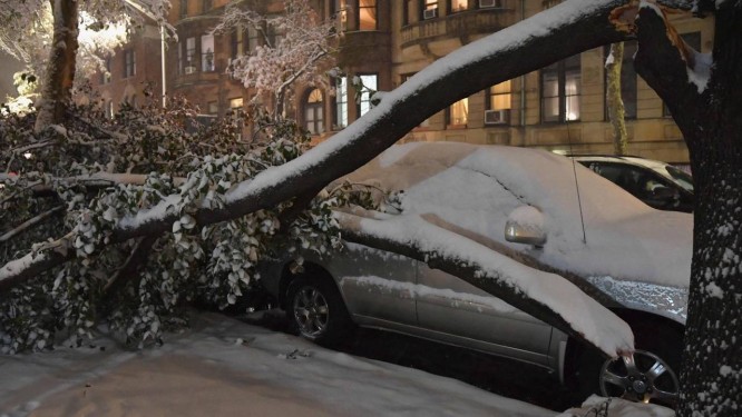 Árvore caiu sobre carro em Manhattan Foto: ANGELA WEISS / AFP