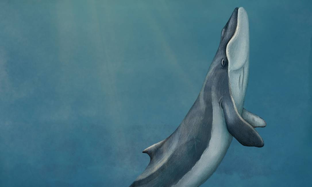 Ilustração de como seria essa antiga baleia Foto: Arte