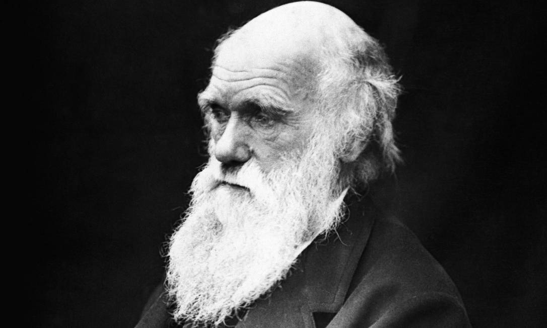 Obra de Darwin introduziu pela primeira vez a ideia da evolução por meio da seleção natura Foto: Reprodução 