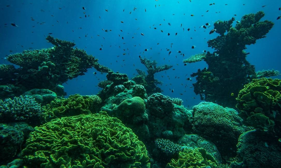 O Parque Marinho do Observatório Subaquático, em Eliat, é uma das grandes atrações deste balneário em Israel, às margens do Mar Vermelho Foto: Tzachi Ostrovsky / The New York Times