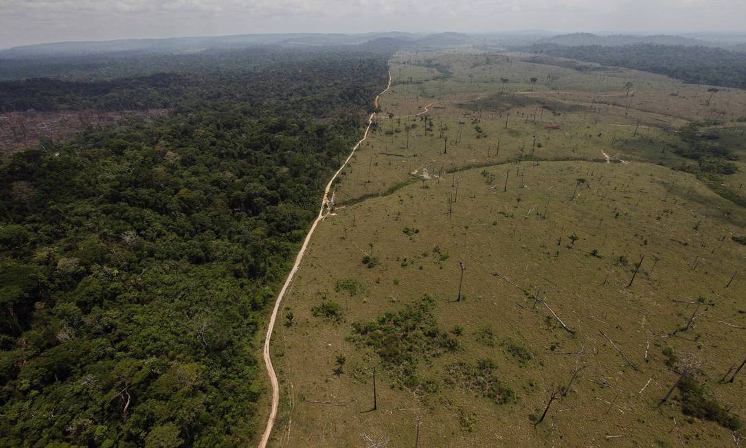 
Foto de setembro de 2009 mostra área desmatada no município de Novo Progresso, no Pará, junto a floresta ainda de pé: medidas do novo governo colocam em risco a Amazônia, alerta Artaxo
Foto:
AP/Andre Penner/15-09-2009

