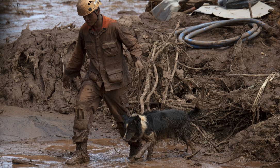 O cão Thor, de 5 anos, tem no currículo larga experiência em resgate, tendo trabalhado nos desatres de Mariana, Herculano e Sardoá. Foto: MAURO PIMENTEL / AFP