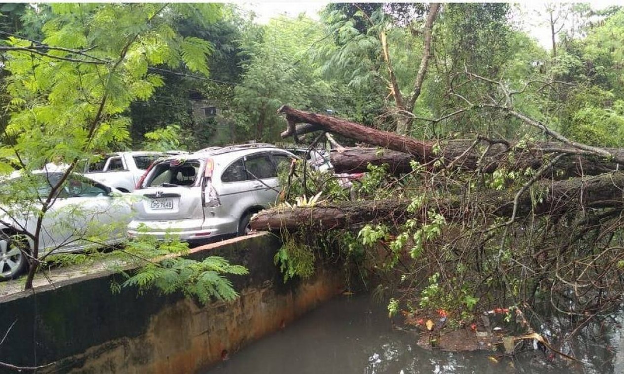 Queda de árvore destruiu carro na avenida Nuta James, na Barra Foto: COR-Rio / Divulgação