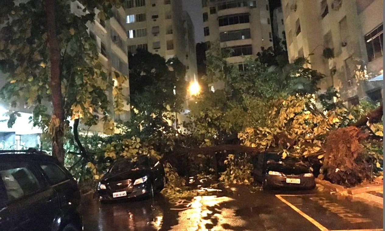 Queda de árvore deixa bloqueada a Rua Hilário de Gouveia, esquina com Tonelero Foto: Alexandre Rodrigues / Agência O Globo