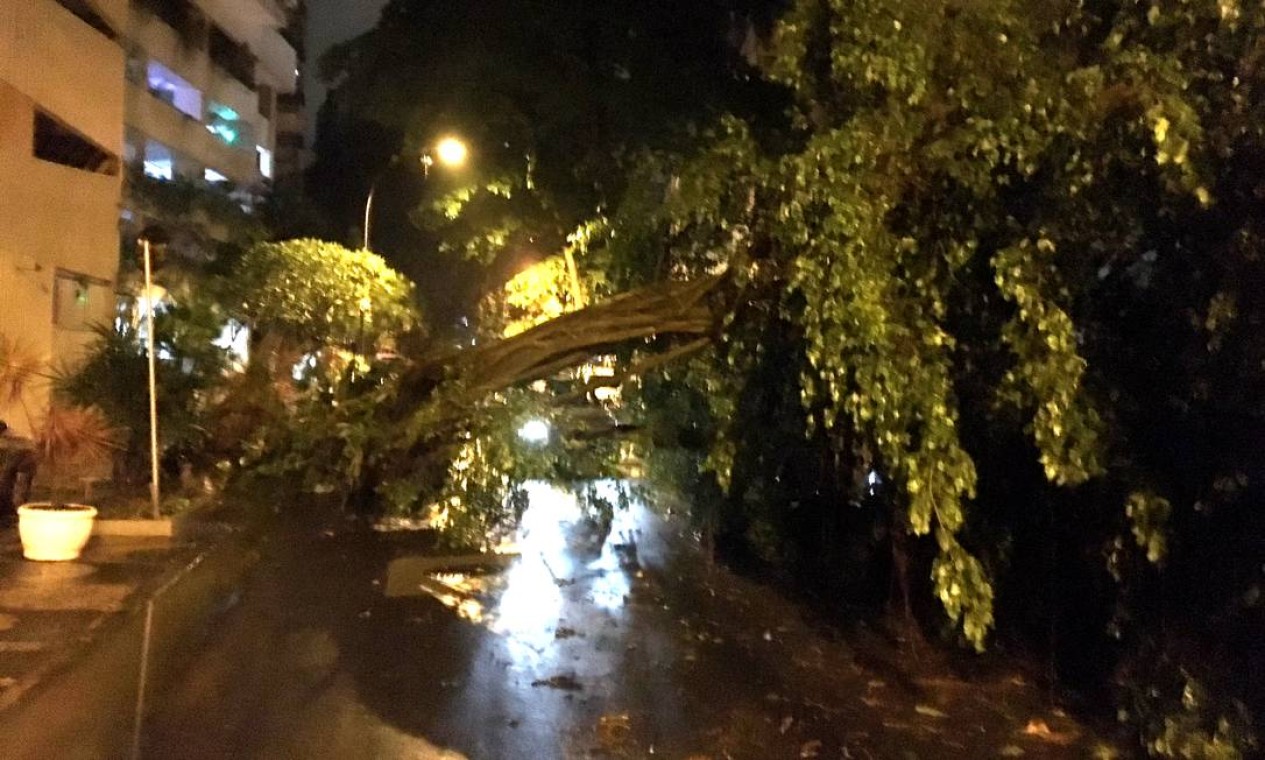 Árvore caída na Rua Gastão Bahiana, em Copacabana Foto: Alexandre Rodrigues / Agência O Globo