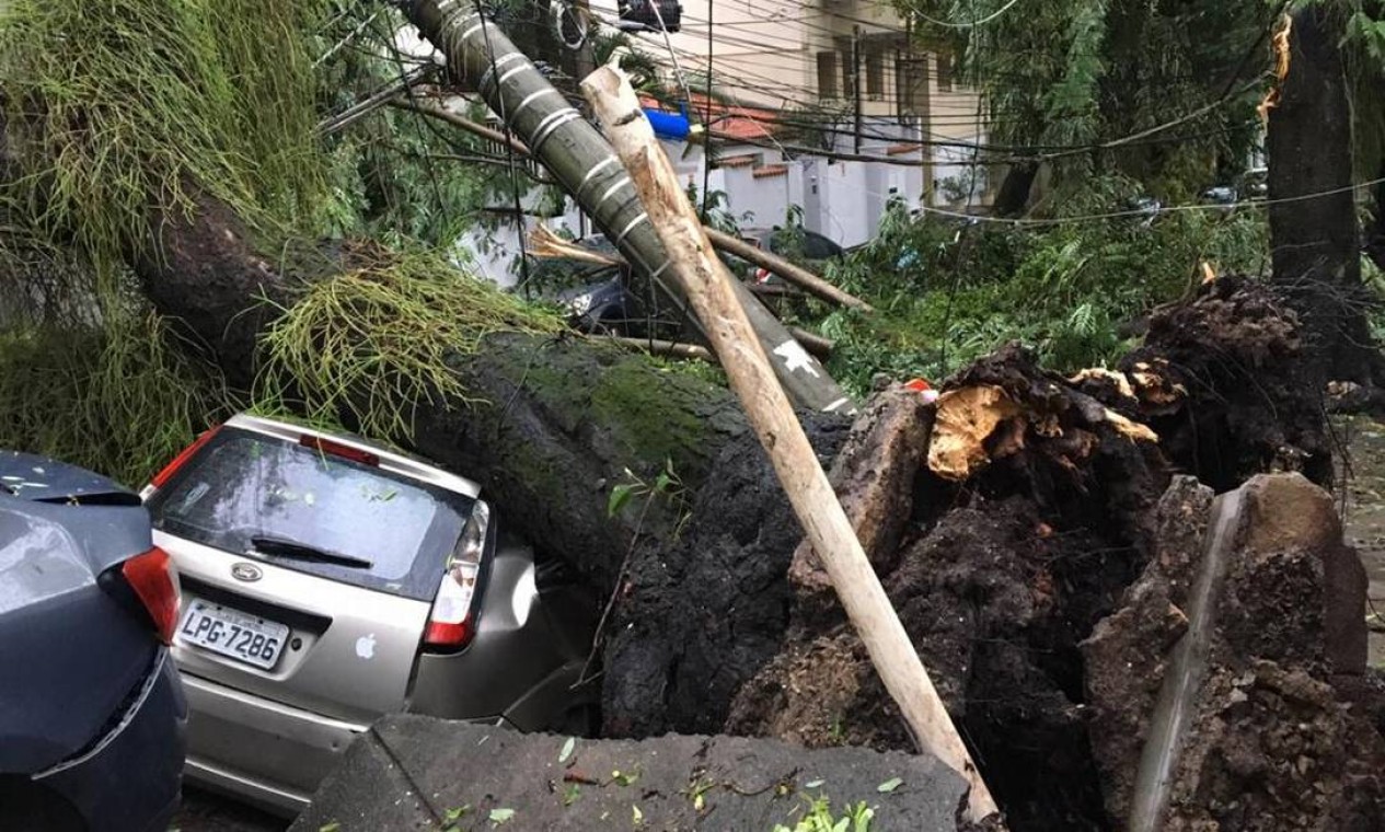 Árvore caiu na Rua Viúva Lacerda, no Humaitá, abriu um cratera no asfalta e atingiu um carro Foto: Do leitor João Lobo