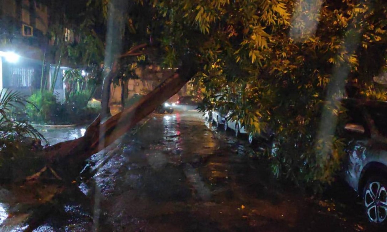 Outra árvore caiu na Rua Desembargador Burle, também no Humaitá. Foto: Da leitora Cláudia de Amorim