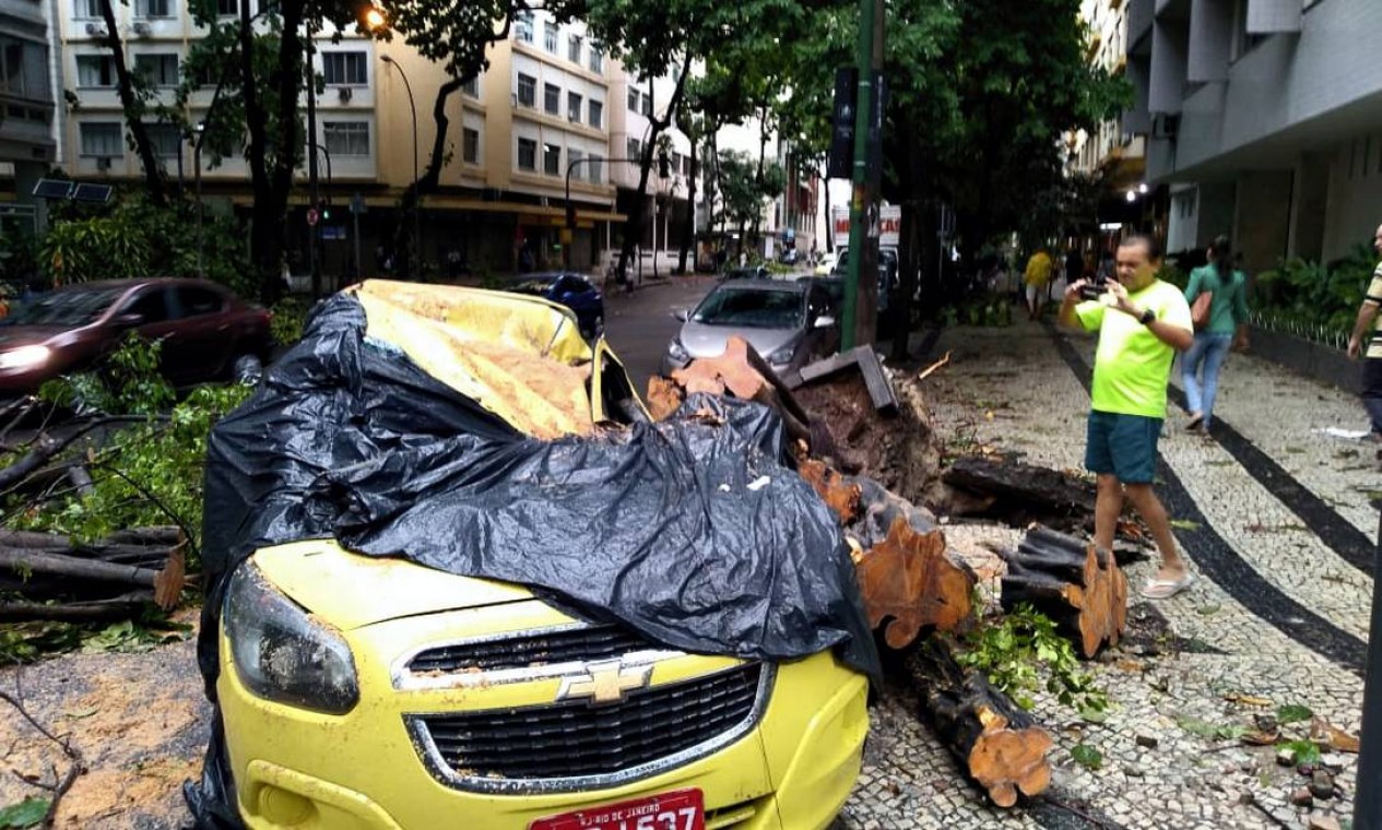 Árvore caída destruiu um táxi na rua Figueiredo Magalhães, em Copacabana Foto: Guilherme Pinto / Agência O Globo