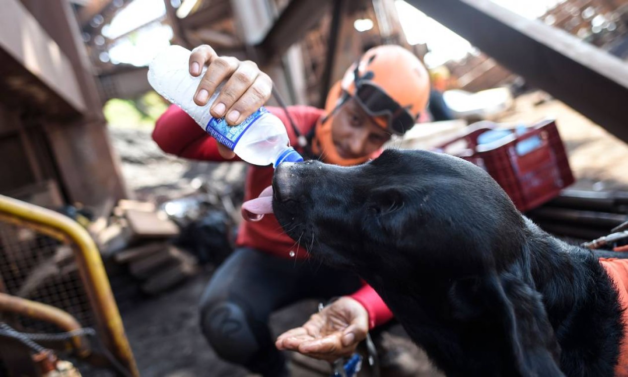 Um bombeiro dá água a um cão farejador durante a busca por vítimas na usina Vale Foto: DOUGLAS MAGNO / AFP