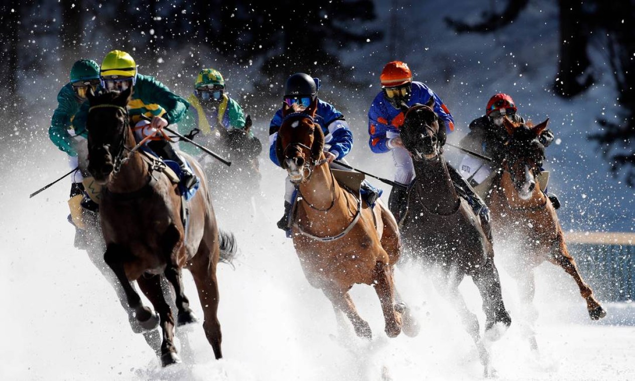 Saiba mais sobre turfe, a corrida de cavalos