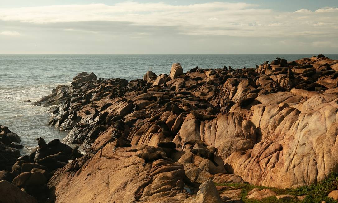 Cabo Polonio, a última cidade do litoral Uruguaio, está dentro de um preservado parque nacional, santuário de leões-marinhos Foto: Tali Kimelman / The New York Times