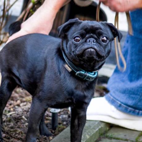 Segurado do INSS pode receber benefício até três anos após 