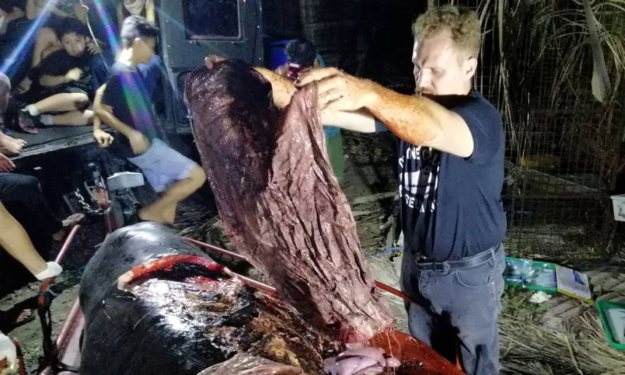 Em caso divulgado no dia 18 de março, uma baleia morta encontrada nas Filipinas tinha 40 quilos de plástico em seu estômago. Ao realizarem a autópsia, Especialistas do D'Bone Collector Museum, na ilha de Mindanao, encontraram no animal 16 sacos de arroz, quatro de "estilo de plantação de banana" e vários sacos de compras Foto: - / AFP