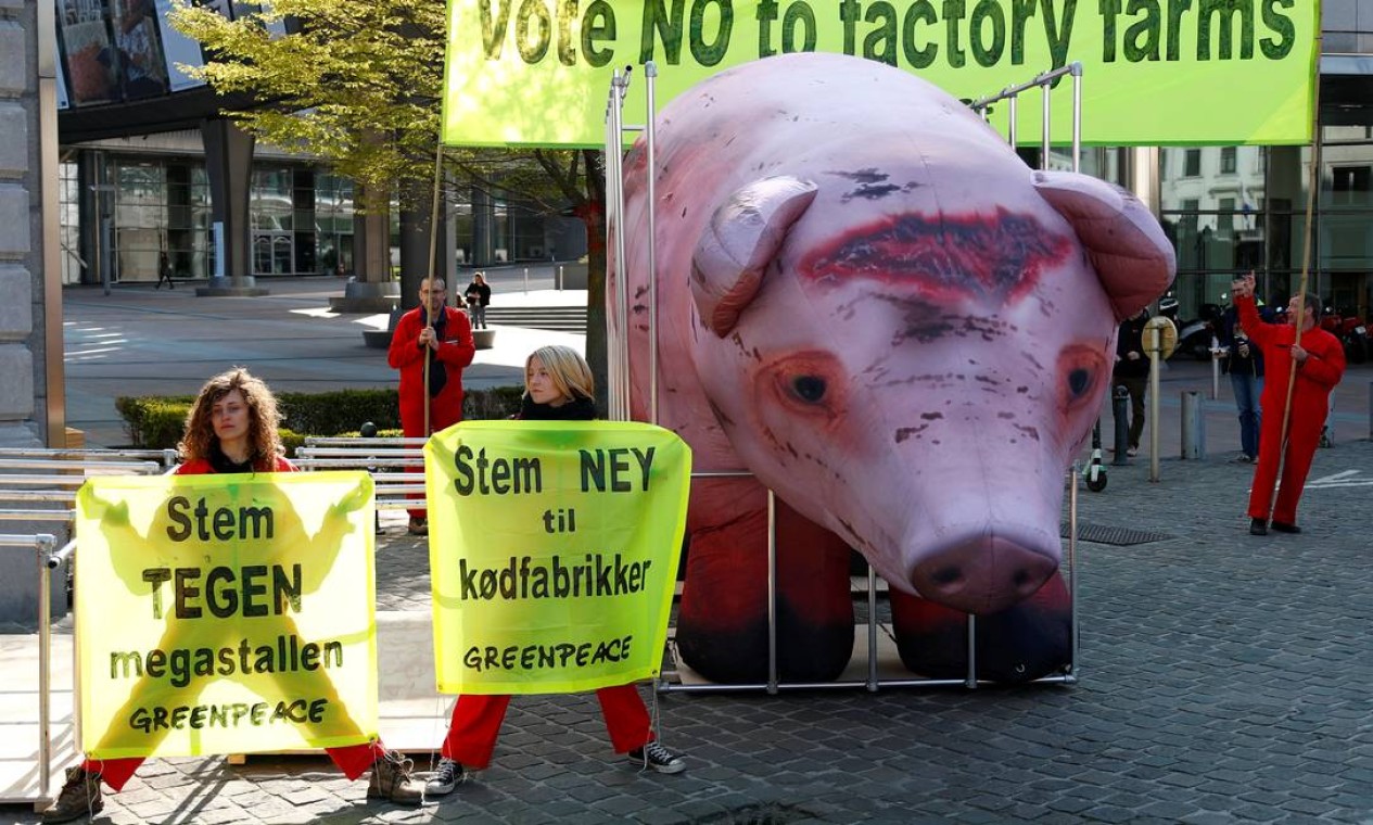 Ativistas do Greenpeace fazem um protesto com um porco inflável em uma gaiola, enquanto o comitê de agricultura do Parlamento Europeu deve votar a Política Agrícola Comum, em Bruxelas, Bélgica, em 1º de abril de 2019. REUTERS / François Lenoir Foto: FRANCOIS LENOIR / REUTERS