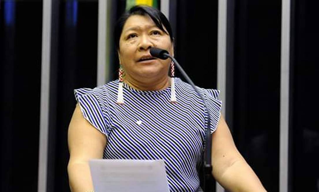 Joenia Wapichana é a primeira indígena eleita para o Congresso Nacional Foto: Luis Macedo/ Câmara dos Deputados