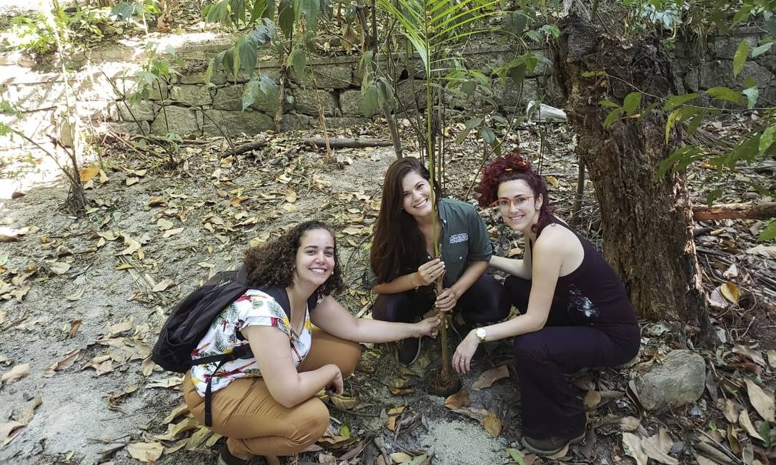 Voluntárias exibem muda replantada no Parque Nacional da Tijuca Foto: Divulgação