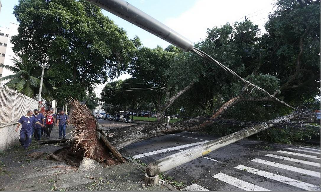 
Árvore cai sobre fiação e derruba poste de energia elétrica na Rua Joaquim Palhares, no Estácio, na área central do Rio
Foto:
/
Pedro Teixeira - Agência O Globo
