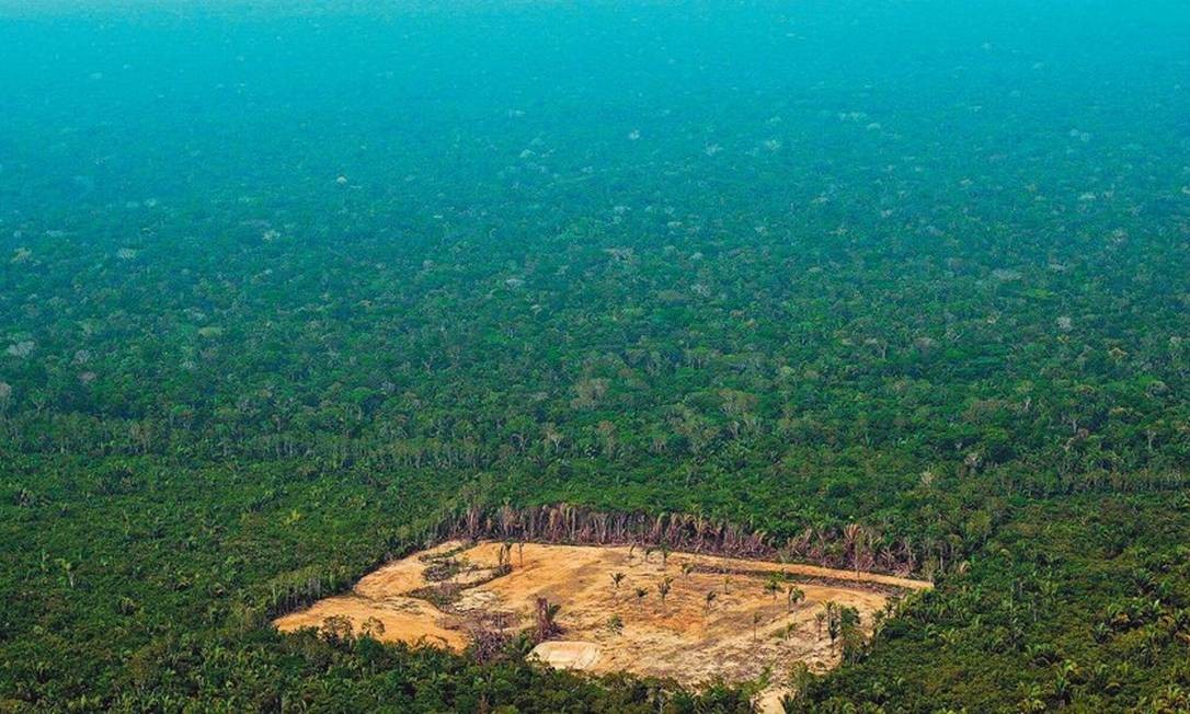 Para especialistas, projeto de lei que revoga obrigatoriedade de reservas legais em propriedades rurais coloca em risco equilíbrio e a proteção da floresta Foto: CARL DE SOUZA/AFP/22-9-2017