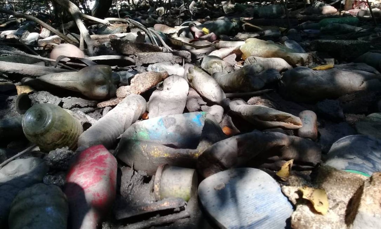 Chinelos e garrafas PET dentro do manguezal: problema é causado pela falta de saneamento e de conscientização da população Foto: Divulgação Projeto Uçá