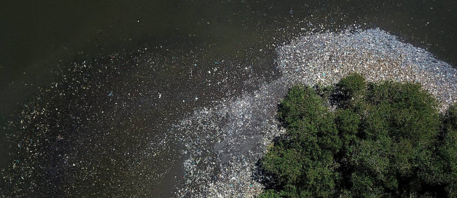 'Ilha de lixo': massa de detritos forma uma praia que se esconde também sob o manguezal, poluindo o habitat de espécies Foto: Custódio Coimbra / Agência O Globo