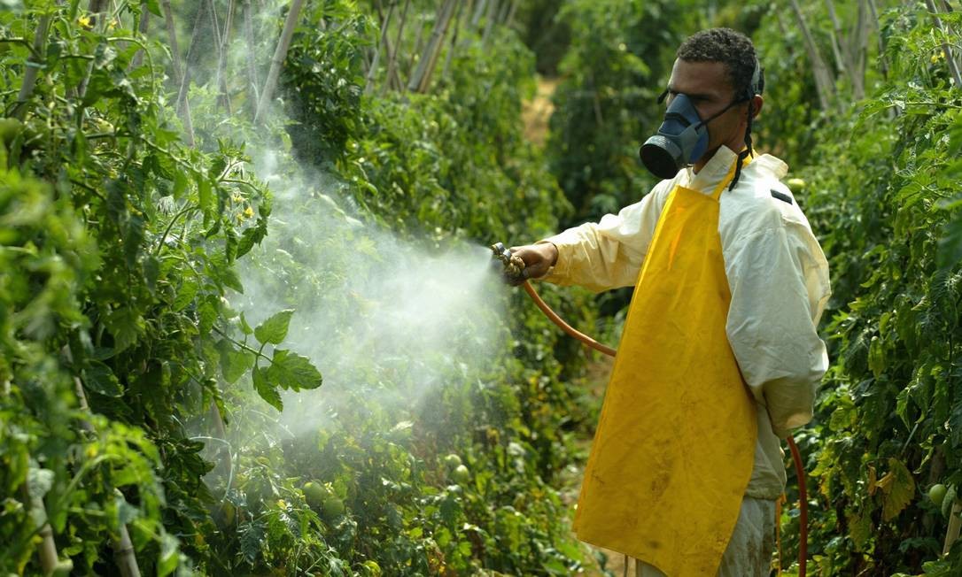 'Comendo veneno': intoxicação por agrotóxico dobra em dez anos e atinge 115 mil pessoas no Brasil