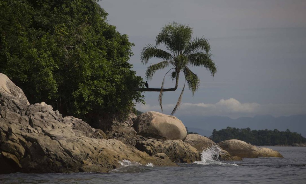 A Ilha da Samambaia, local onde o presidente Jair Bolsonaro foi multado por pesca ilegal Foto: Márcia Foletto / Agência O Globo