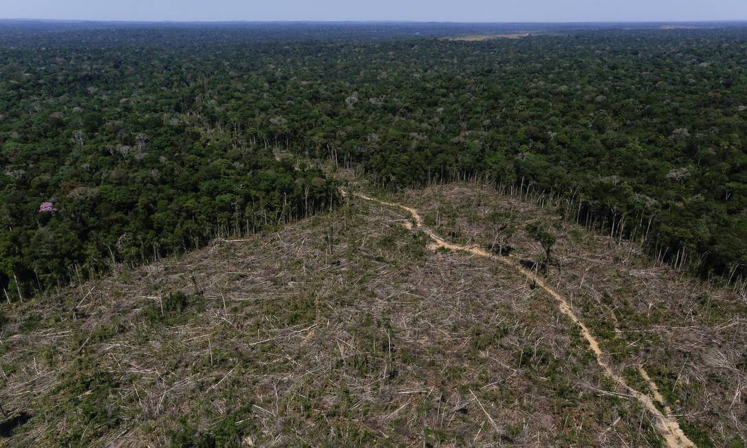 Desmatamento na Amazônia avança 20% entre agosto de 2018 e abril de 2019 -  Jornal O Globo