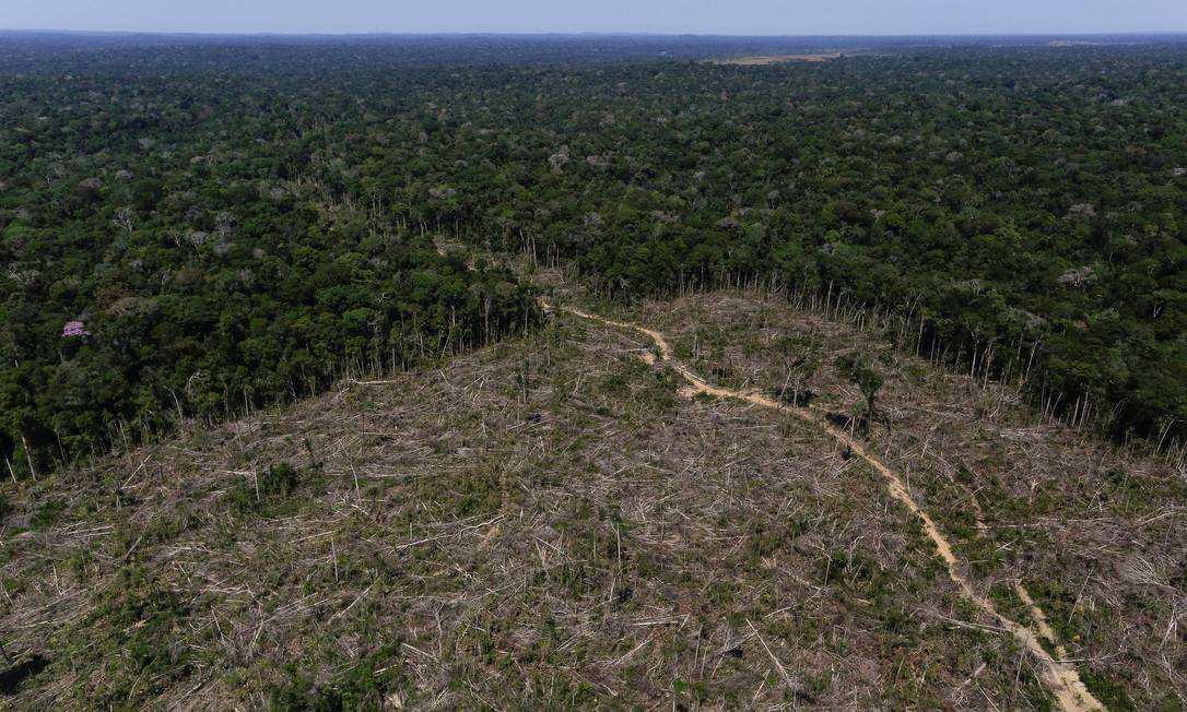 Desmatamento no Amazonas: estado foi o terceiro com maior índice de devastação da Amazônia entre agosto de 2018 e abril de 2019 Foto: BRUNO KELLY / Agência O Globo/27-7-2017